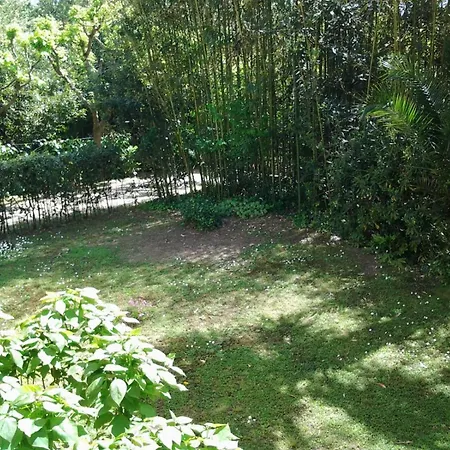 Casa Marverde Vakantiehuis Cinquale